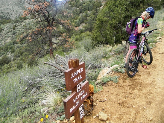 Centennial cone mtb clearance
