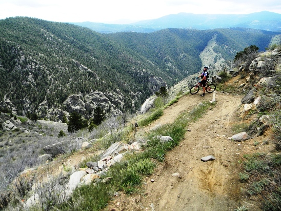 Centennial cone mtb on sale